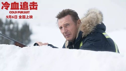 《冷血悍将：2021动作/惊悚英语特效中文字幕》