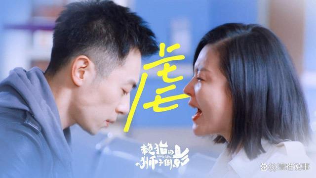 2021最新《赖猫的狮子倒影》4K超清真爱收官，朱亚文杨子姗等热血演绎