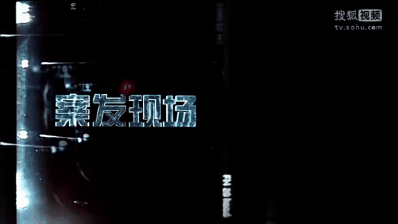 经典警匪电视剧合集：谍战剧、陈宝国系列、黑洞、黑冰、黑雾、黑狐、特种兵、燕双鹰、法证先锋、暗黑者、人民的名义、人民的财产、人民的正义、使徒行者、重案六组及更多经