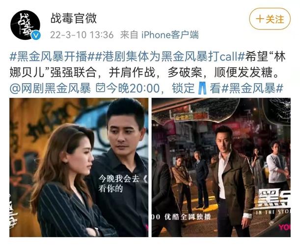 2022年热门犯罪动作片：《黑金风暴》4K版，国粤双语，内嵌中字，林峯、周秀娜、黄浩然主演