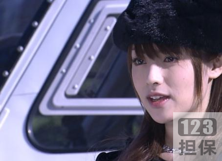 日剧富豪X警：全剧10集