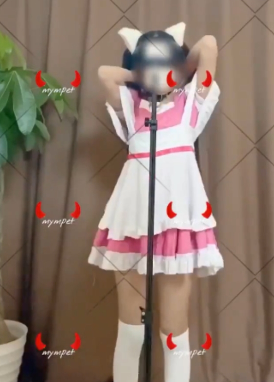 2265个视频合集,25.5G,自购热舞变装卡点弹力摇,抖音风反差多图警告,自行打包分享