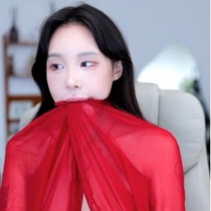 自行打包赛琳韩国烧鸡40V15G