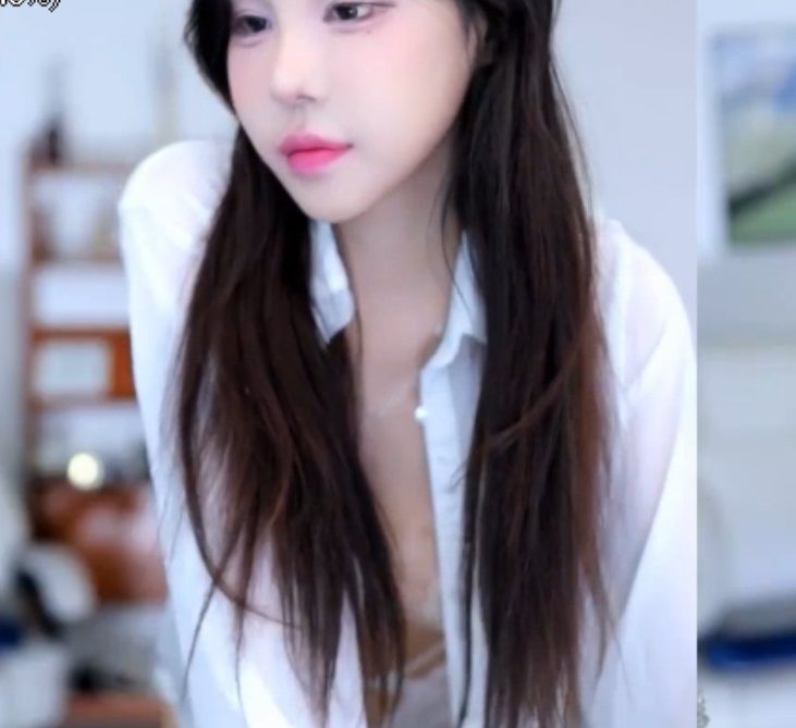 自行打包赛琳韩国烧鸡40V15G