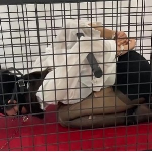 涵涵特辑：15v15Gkf云度云