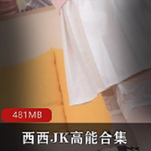 快手西西JK美腿名场面直播活动资源精编版481MB高能爆炸！