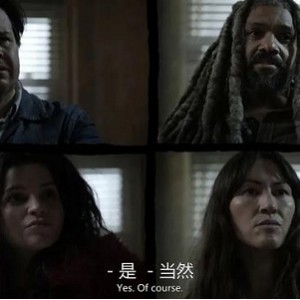 行尸走肉 第11季（附前10季）【1080P】更至21集