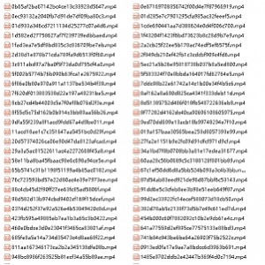 精品小视频激烈对白，117v1.5G，百度盘白嫖大声惨！