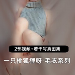 桃狐狸灰色毛衣系列：网红{{网红名字}}带你走进一个充满爱的世界