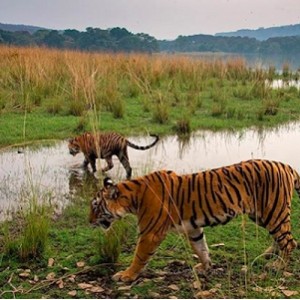 哔哩哔哩各类纪录片大合集：历史文明、生态自然、海洋生物、动物天国、世界旅游、文化古迹，让你轻松体验世界各地