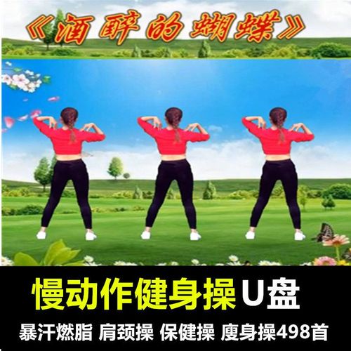 《在家轻松瘦身：有氧健身C完整高清视频》