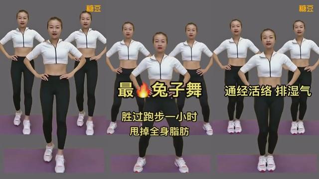 《在家轻松瘦身：有氧健身C完整高清视频》