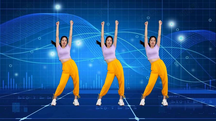 《在家轻松瘦身：有氧健身C完整高清视频》