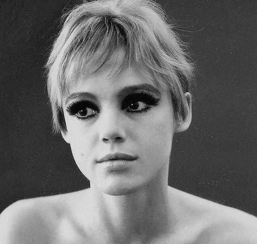 《威洛比小jie与闹鬼书店:神秘秘密改变人生》