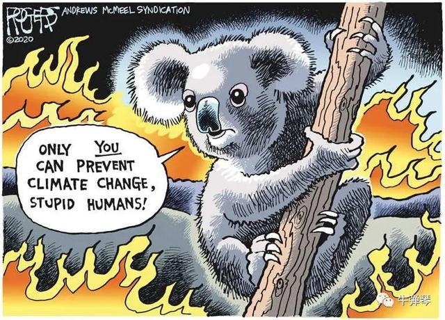 《蜡烛人：殉道者的薪火传承之旅》