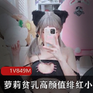 最新萝莉贫乳高颜值绯红小猫资源