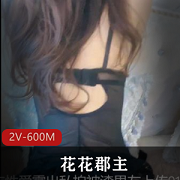 最新极品空姐花花郡主黑丝后推车