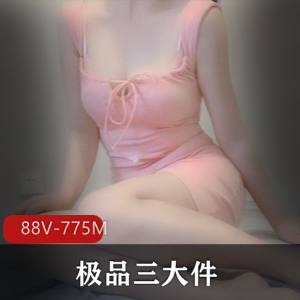 网红少女福利姬：精选三大件，高颜美腿，女仆黑丝，YYDS资源