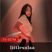 littlesulaa徐特立一线系列颜值身材反差婊玩法百度云下载507MB