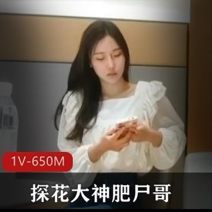探花大神自拍27分钟姐姐视频，身材火爆不容错过