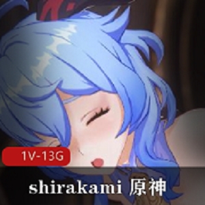 推特shirakami原神合集热辣1部13G