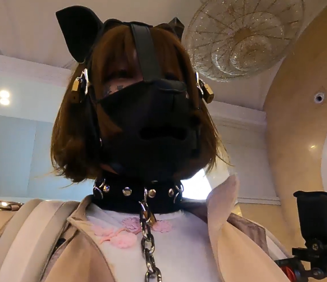 满月之夜12V合集17.9G恶趣味收藏向黑丝魅惑