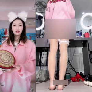 B站一只霸王兽双视角150视频18G绝顶福利