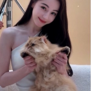 微博迪丽热巴AI换装视频1部500M妩媚动人