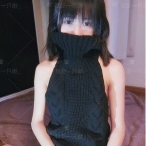 布丁大法高能名场面合集133套40.5G复古风潮强势返场