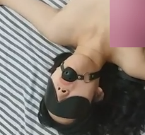 刘敏华南师大M属性开发实录1V111MB珍藏版