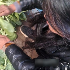 外站实在小李子家庭互动合集88部601.5MB珍藏